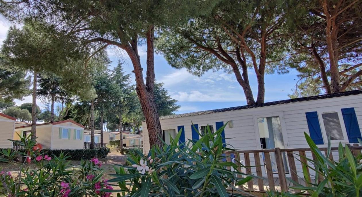 Domaine Residentiel De Plein Air Odalys La Pinede Agde Exterior foto