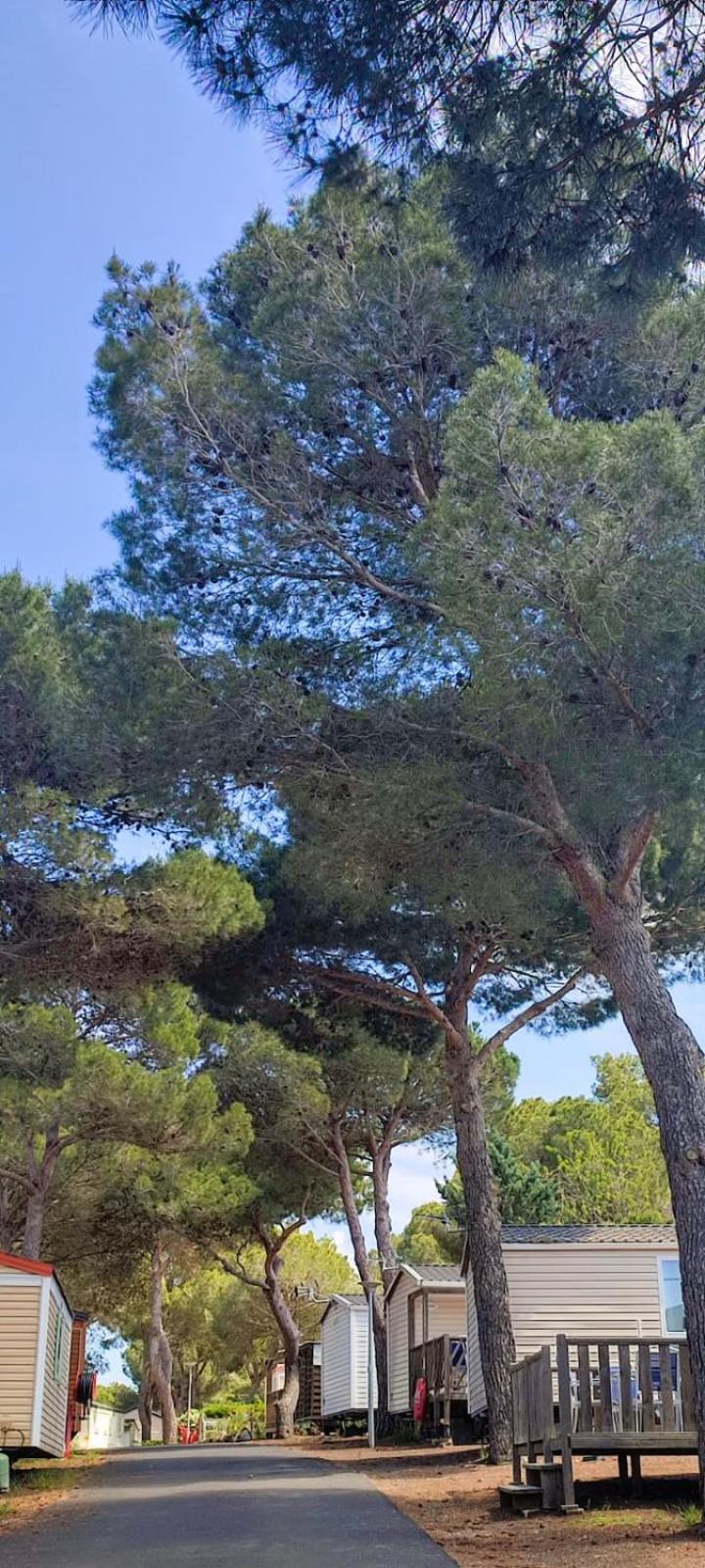 Domaine Residentiel De Plein Air Odalys La Pinede Agde Exterior foto