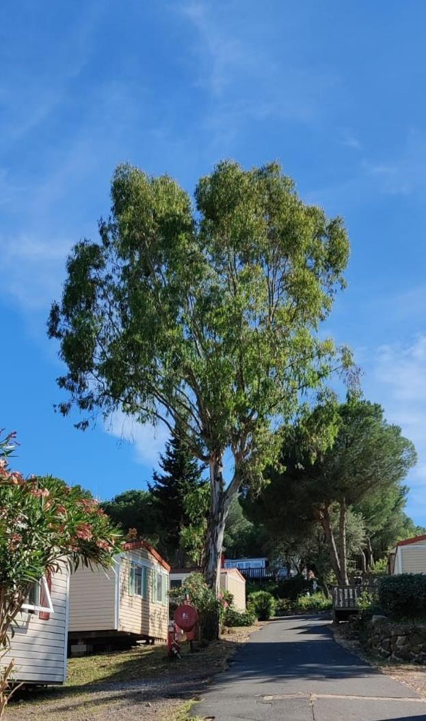 Domaine Residentiel De Plein Air Odalys La Pinede Agde Exterior foto